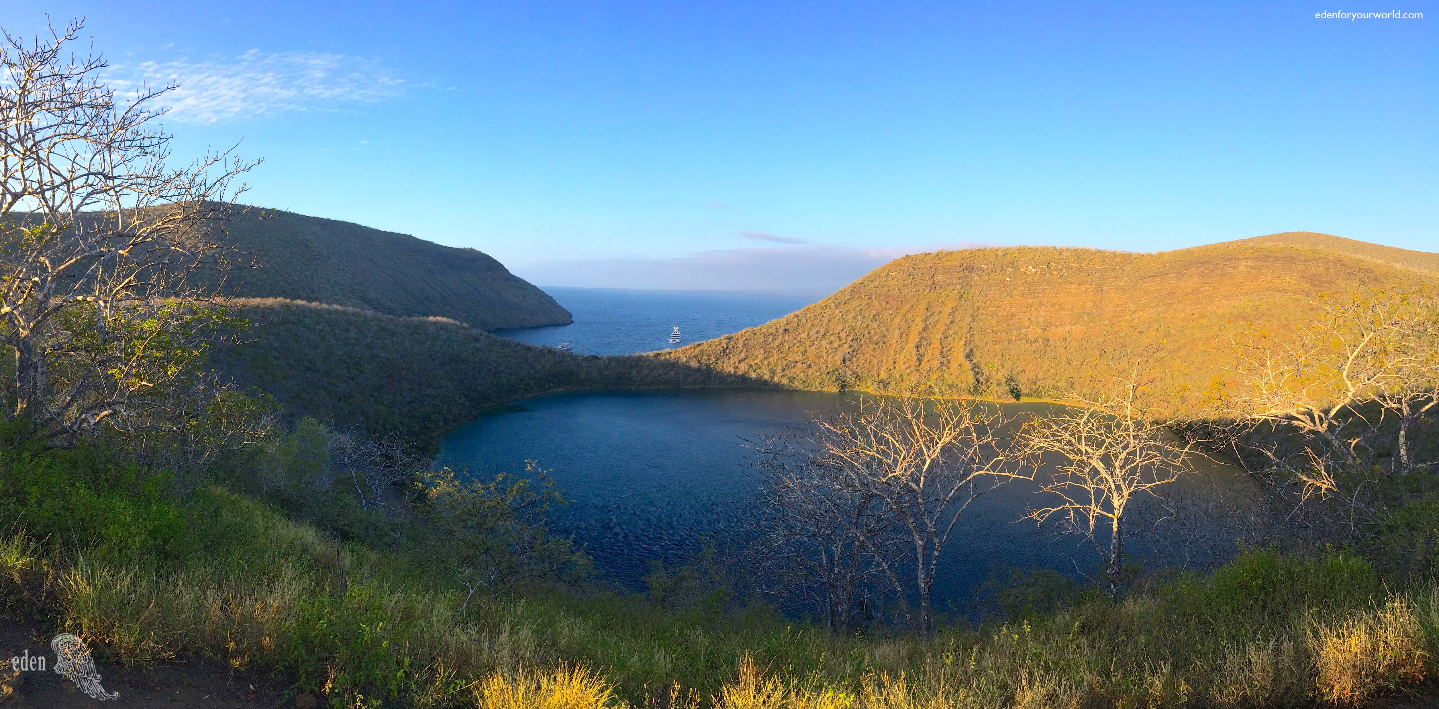 The Galapagos